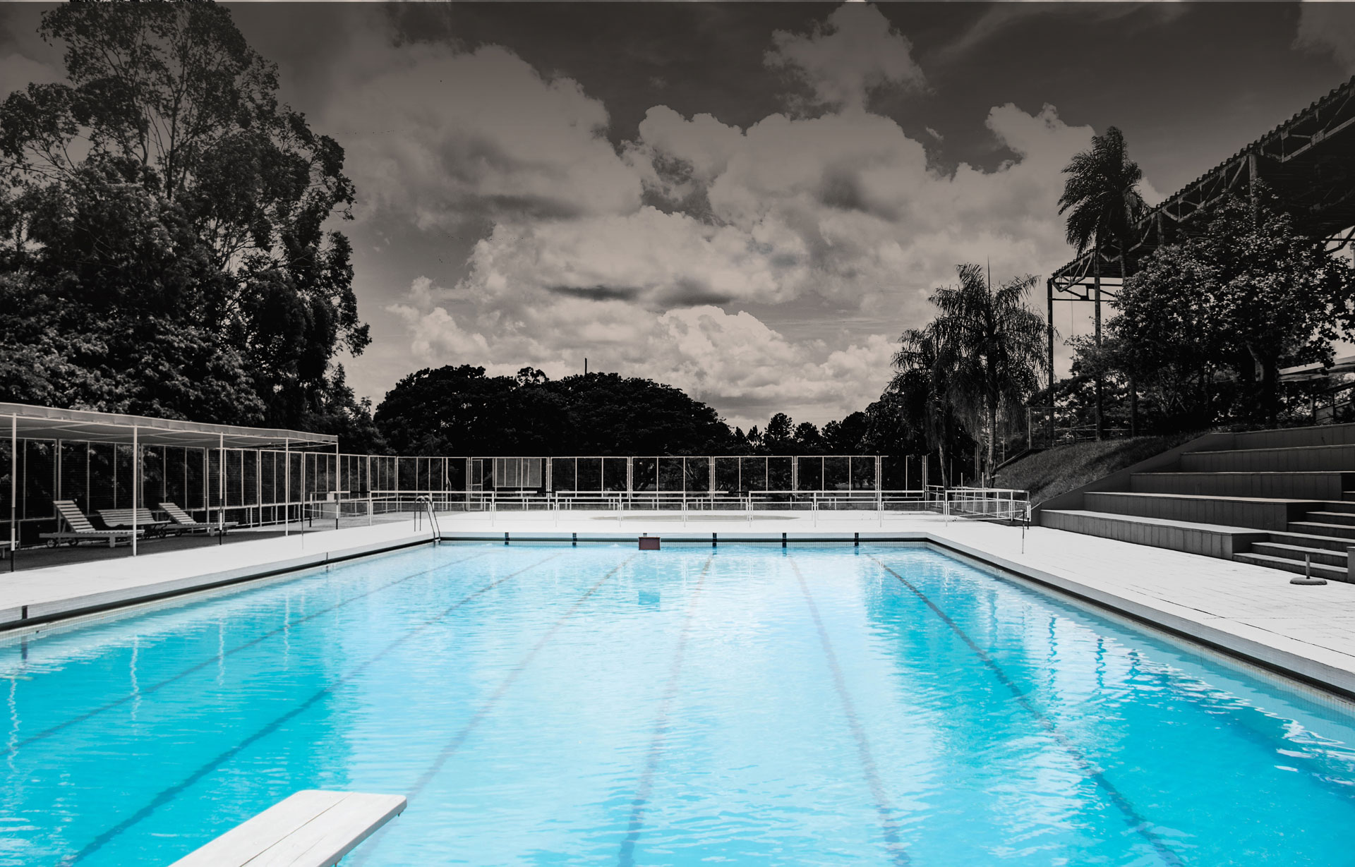 pexels-ezequiel-da-silva