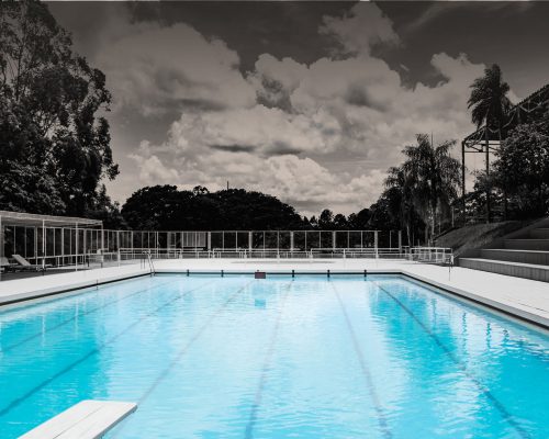 pexels-ezequiel-da-silva